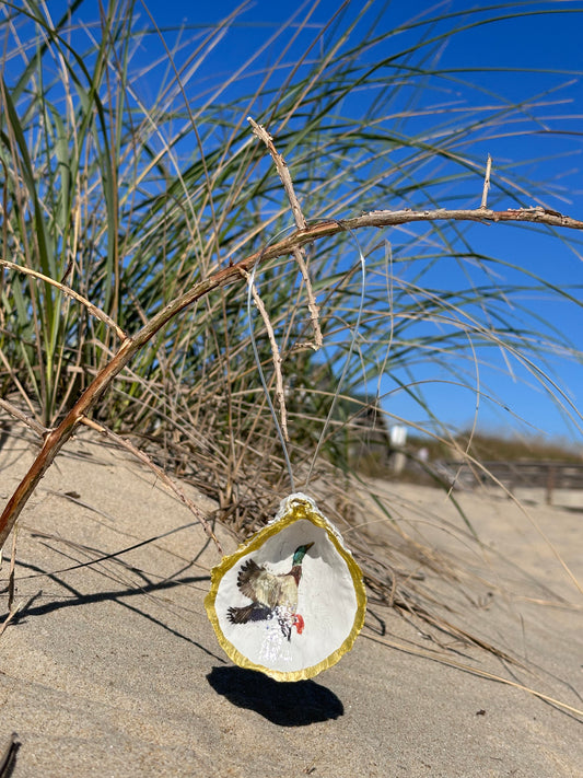 Duck Duck POW Oyster Shell Ornament